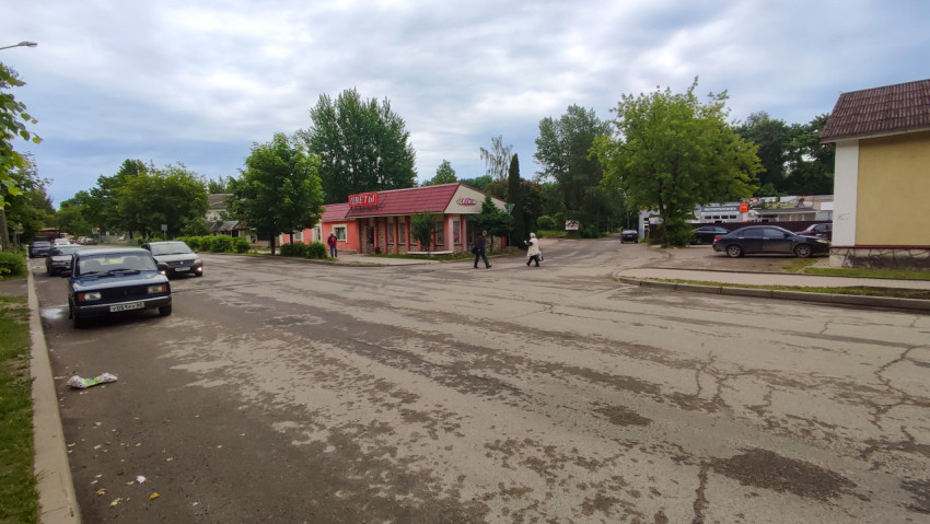 Улица в городе с зелеными деревьями и прохожими