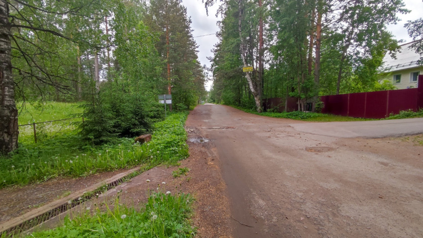 Тихая улочка в поселке у леса