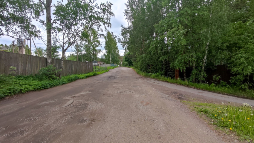 Пейзаж грунтовой дороги среди деревьев
