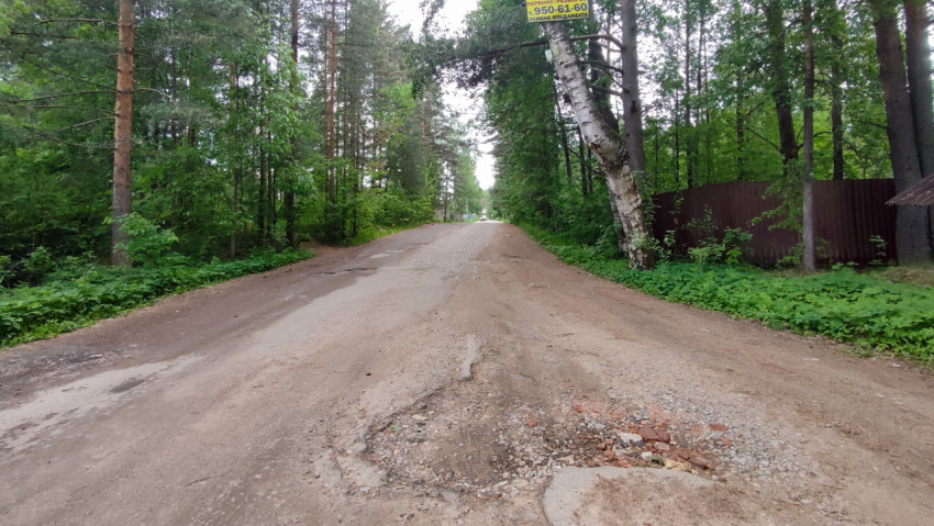 Просёлочная дорога среди леса