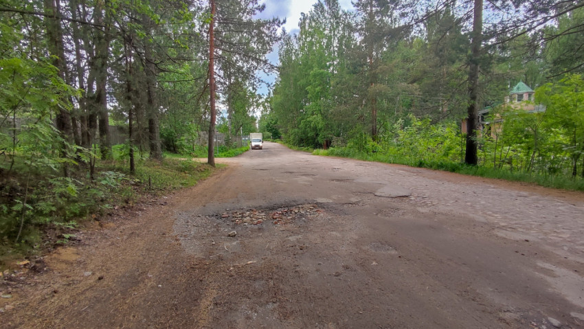 Дорога в лесу с разбитыми участками и деревьями по бокам