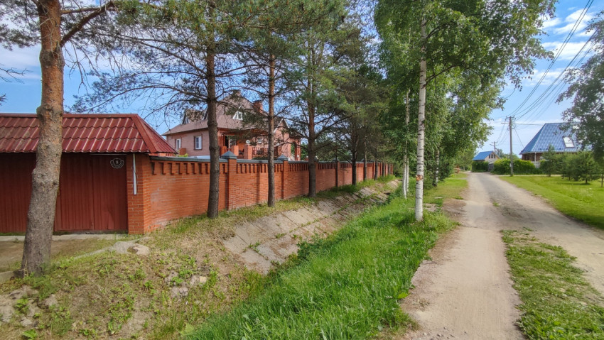Спокойная загородная улица с домами и зелеными деревьями