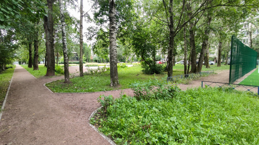 Зеленый городской сквер с тропинками и деревьями