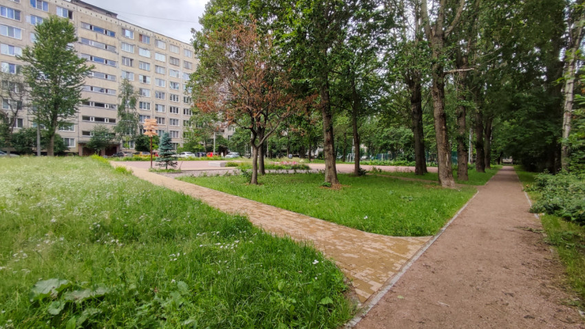 Пешеходная аллея в городском сквере с зелеными насаждениями и тропинками