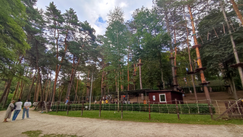 В парке Кисловодска есть верёвочный парк