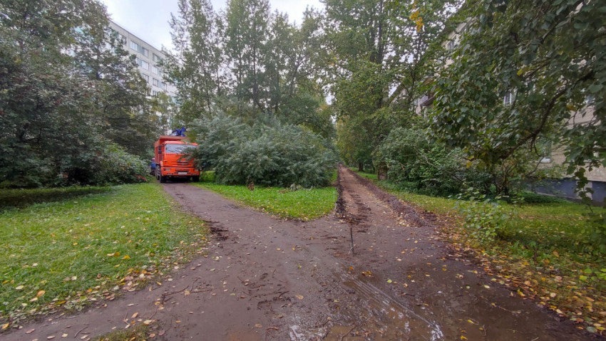 Дорожка с развилкой и спецтехникой в зелёной зоне