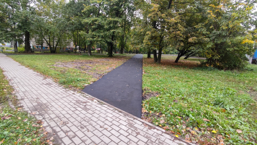Асфальтированная дорожка в зелёной зоне парка