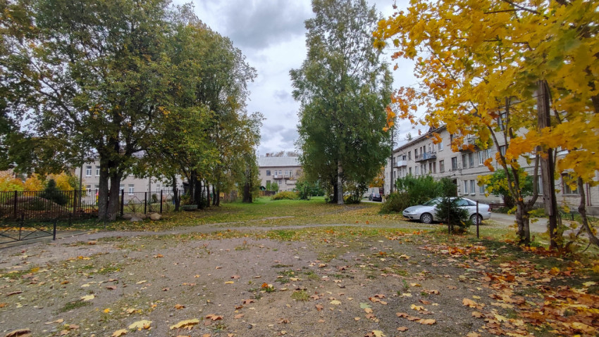 Осенний двор с деревьями, жилыми домами и припаркованными машинами