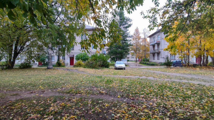 Осенний двор с жилыми домами, зеленью и припаркованными машинами