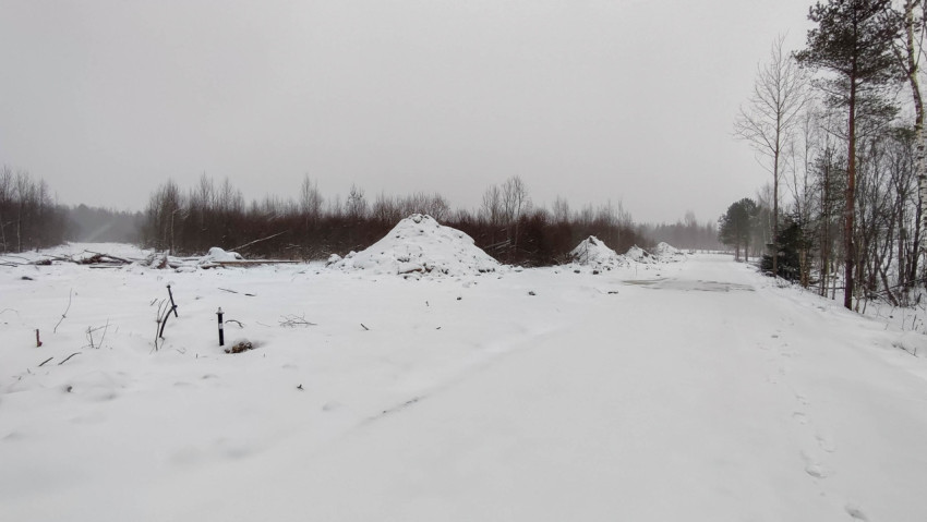 Заснеженная строительная площадка в зимнем лесу