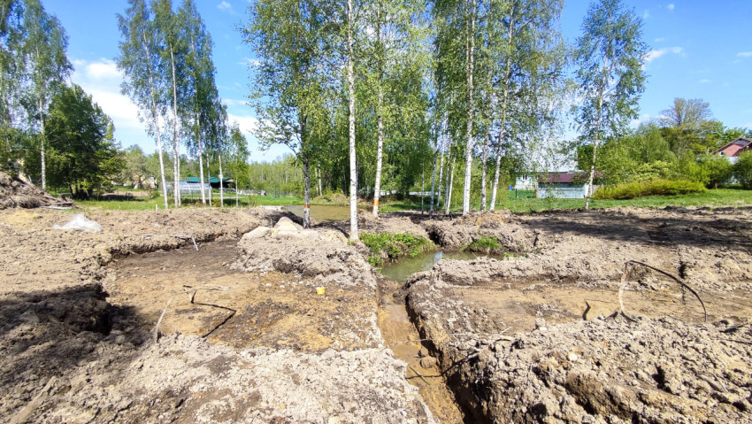 Траншеи с водой среди берёз в деревенской местности