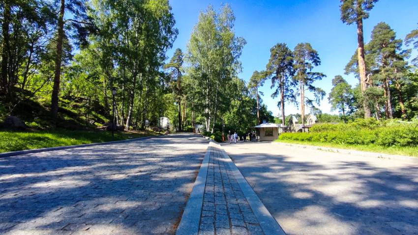 Асфальтированная аллея в лесопарке