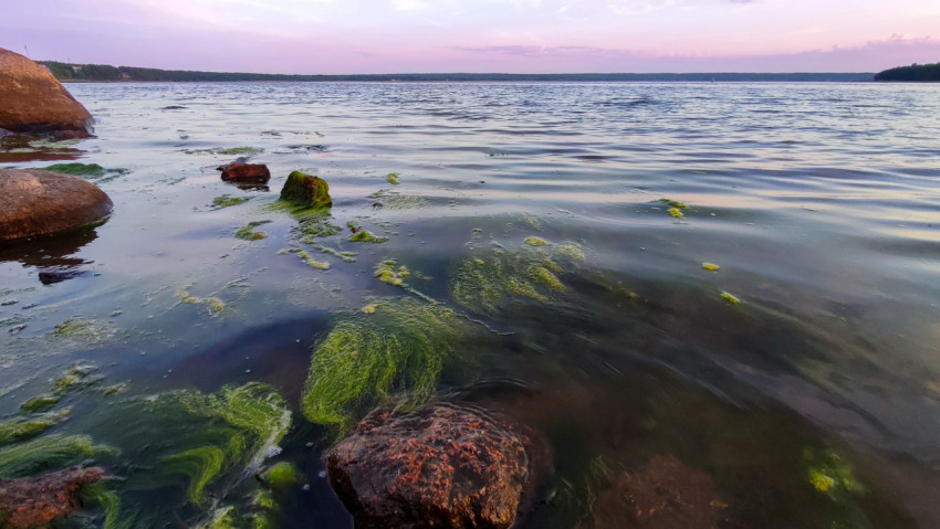 Камни у берега с зелёными водорослями в воде