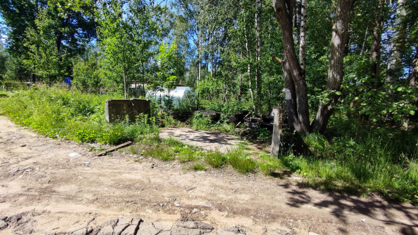 Грунтовая дорога и бетонные блоки у лесного участка