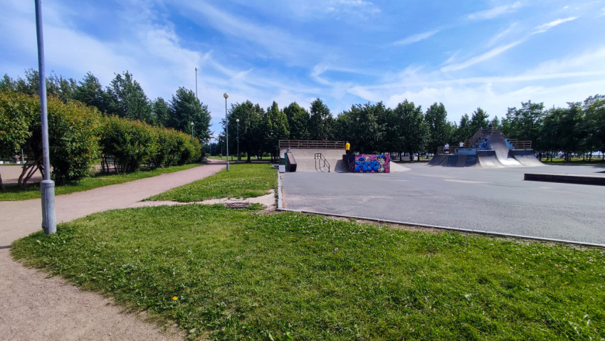 Скейт-площадка с рампами и граффити в парке