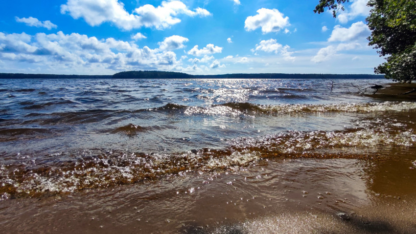 Озеро с волнами и бликами солнца у берега