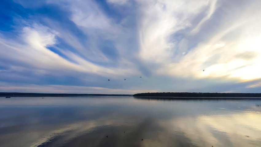 Полет птиц над озером на закате