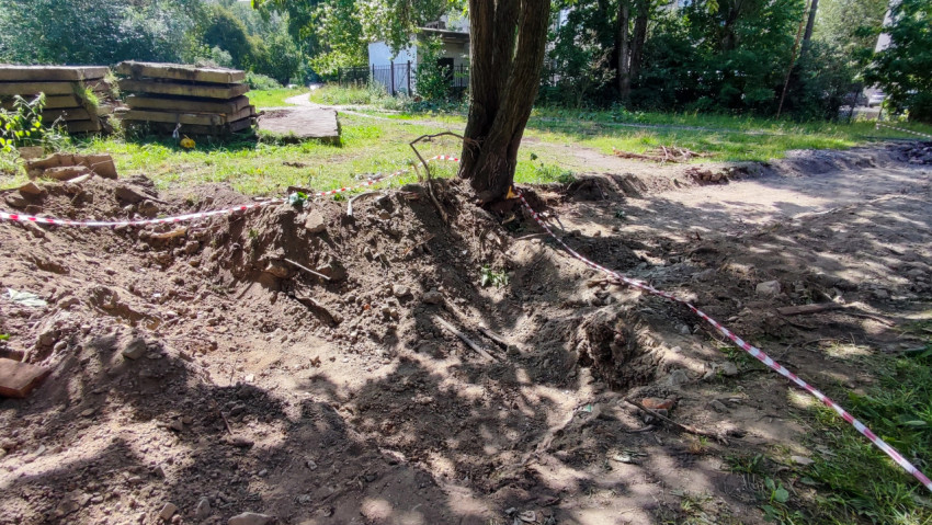 Раскопанный участок с деревом в зоне благоустройства