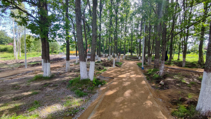Лесопарковая зона с тропинкой и деревьями, окрашенными известью