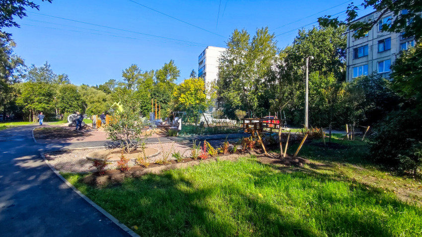 Озеленение дворовой территории после благоустройства