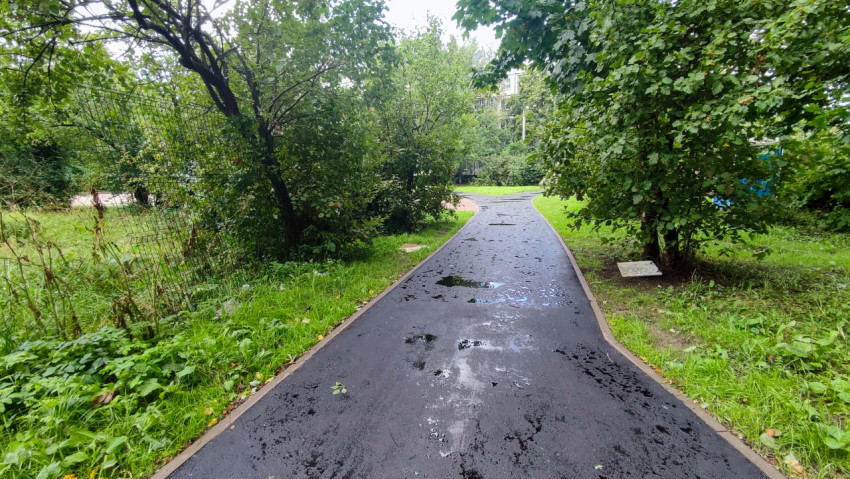 Асфальтированная пешеходная дорожка в парковой зоне после дождя