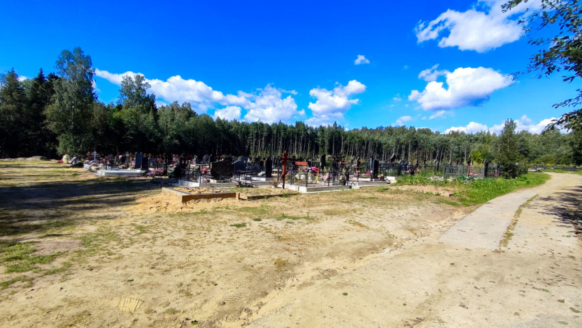 Кладбище на фоне лесного массива