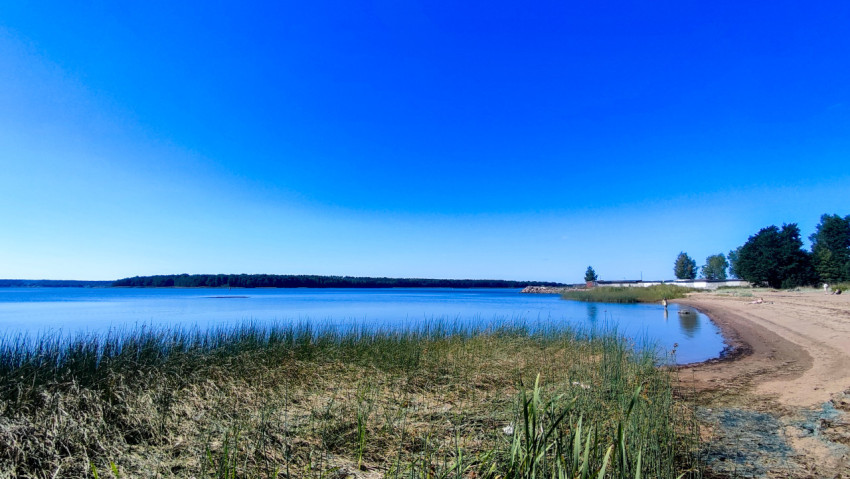 Озеро с пляжем и прибрежной растительностью