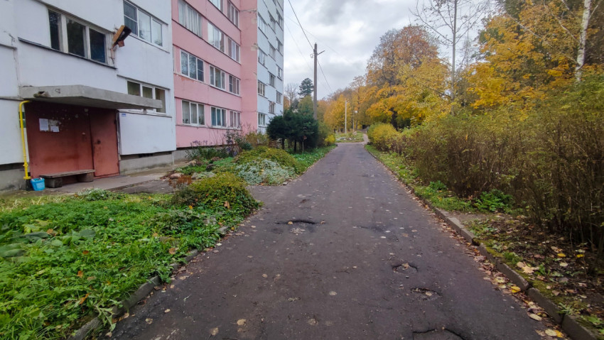 Дворовая дорога у панельного дома с осенними деревьями