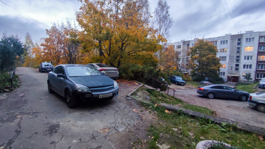 Осенний двор с припаркованными автомобилями и деревьями с листвой