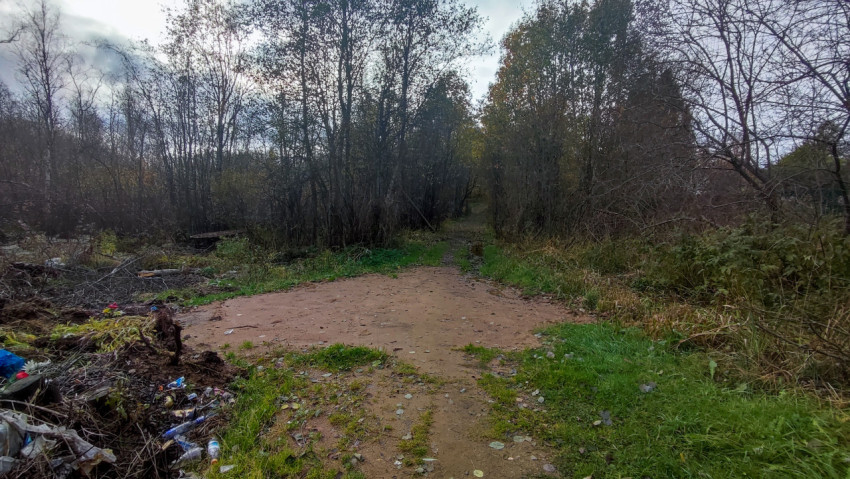 Лесная тропа с просветом в глубине осеннего массива