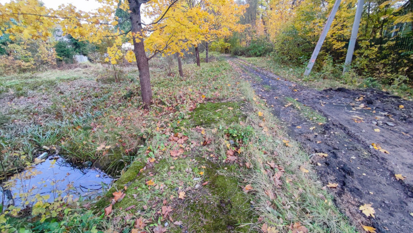 Просёлочная дорога вдоль ручья и деревьев с осенней листвой
