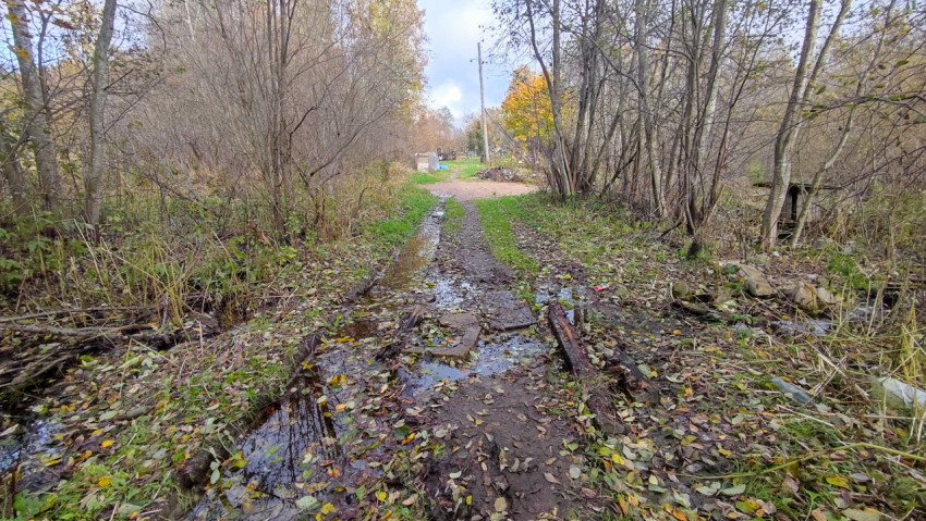 Размытая после дождя дорога через лес к окраине поселения