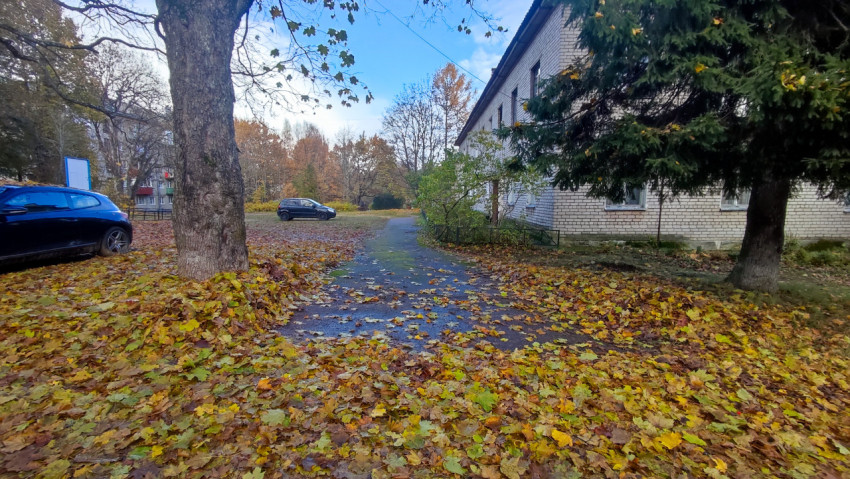 Участок тротуара с опавшими листьями у жилого дома