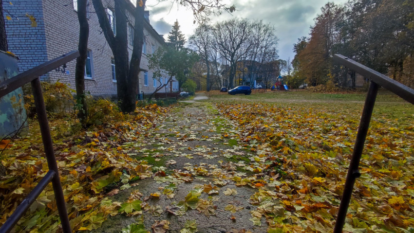 Вид на пешеходную дорожку во дворе с просадками и налётом мха