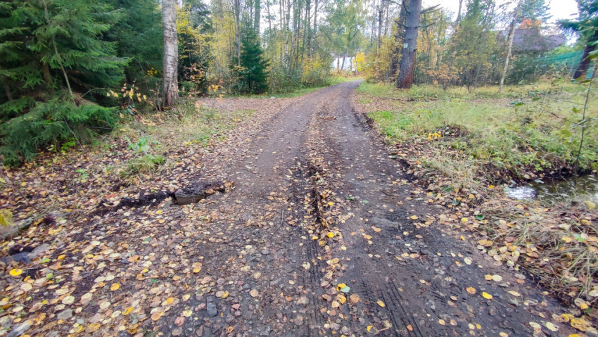 Просёлочная дорога с водосточной канавой в осеннем лесу