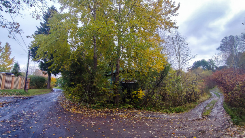 Перекресток грунтовых дорог среди осенних деревьев