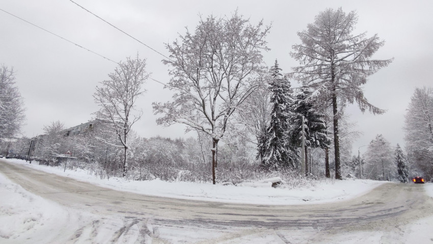 Зимний перекресток с заснеженными деревьями и дорогой