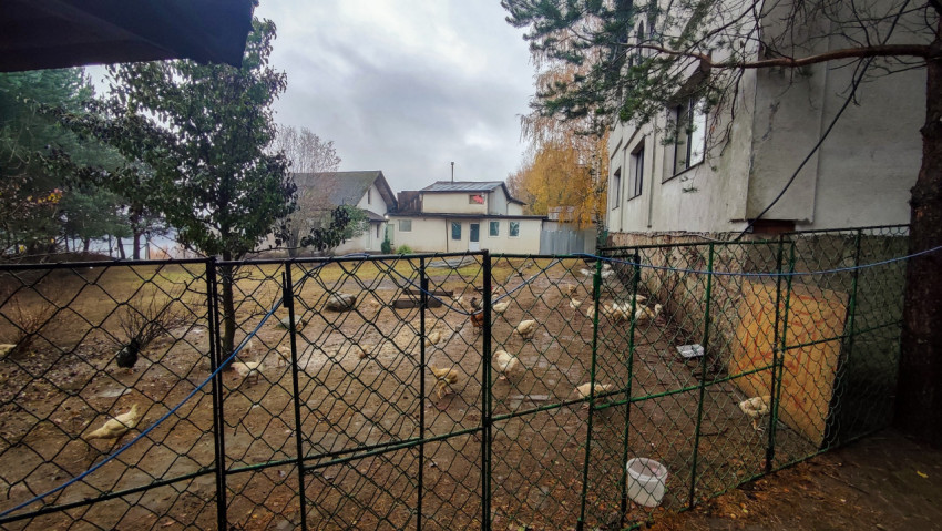 Двор частного дома с огороженным выгулом для птицы