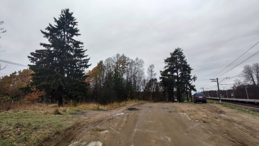 Деревья и просёлочная дорога у железнодорожной платформы