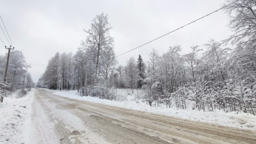 Загородная зимняя дорога вдоль лесополосы