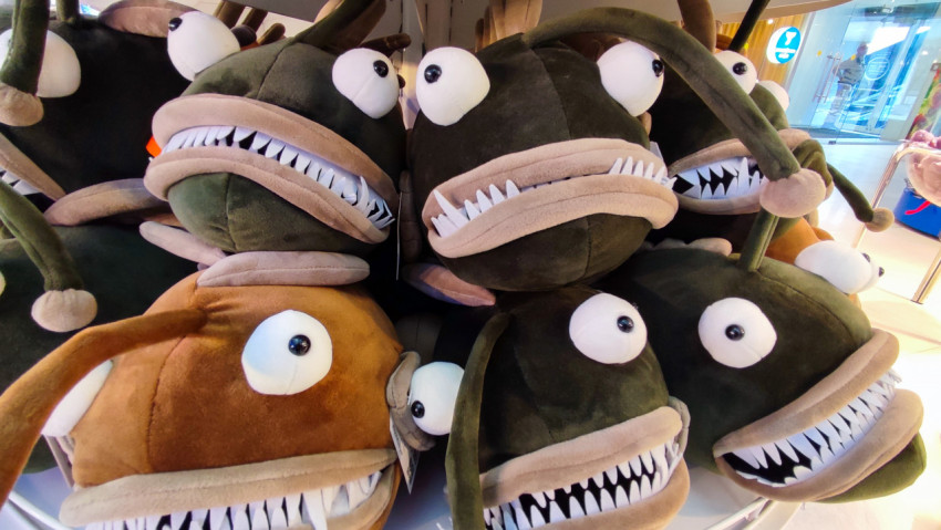 Стопка плюшевых рыб-удильщиков в торговом зале