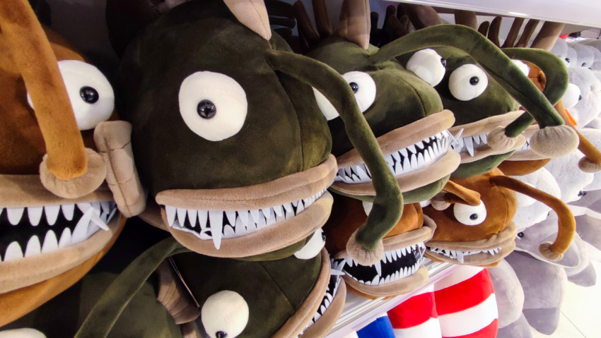 Плюшевые рыбы-удильщики на витрине сувенирного магазина