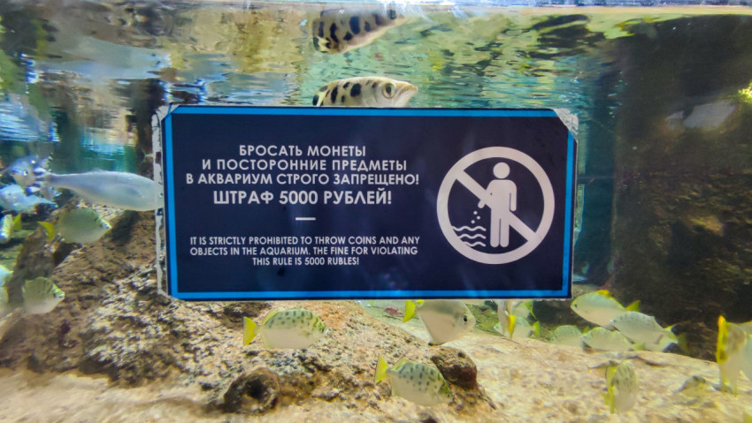 Аквариум Москвариума с табличкой о запрете бросать предметы