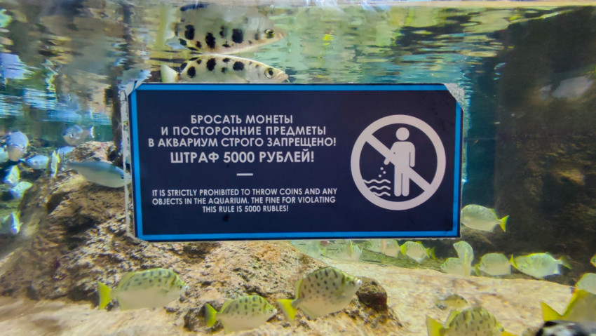 Предупредительная табличка на аквариумной панели