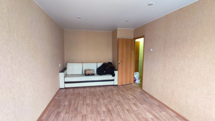 Гостиная с диваном и межкомнатной дверью