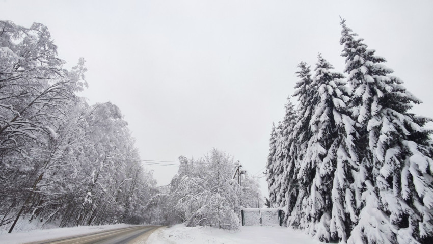 Лесной склон и дорога с опорами электролиний в зимний период