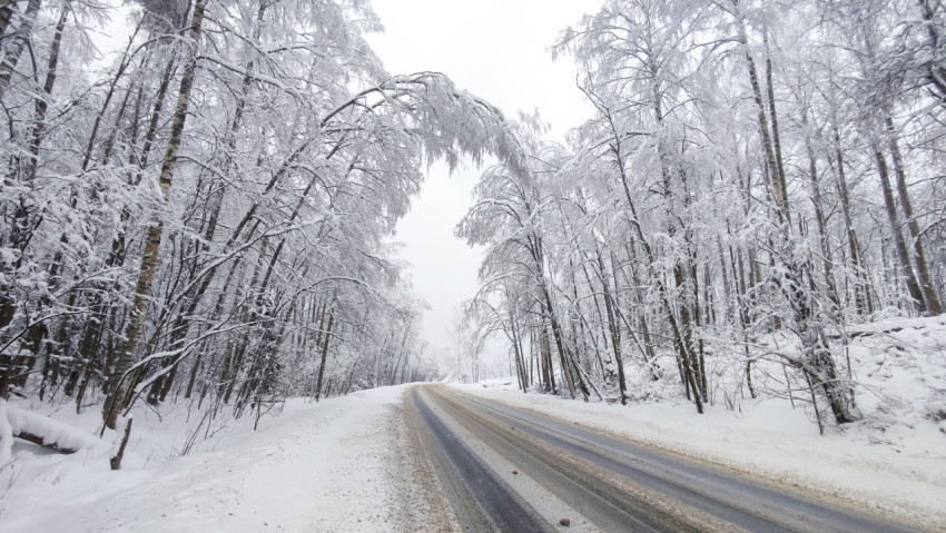 Загородная дорога с нависающими снежными ветвями