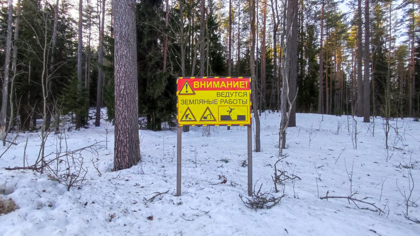 Щит с предупреждением о проведении земляных работ среди хвойного леса