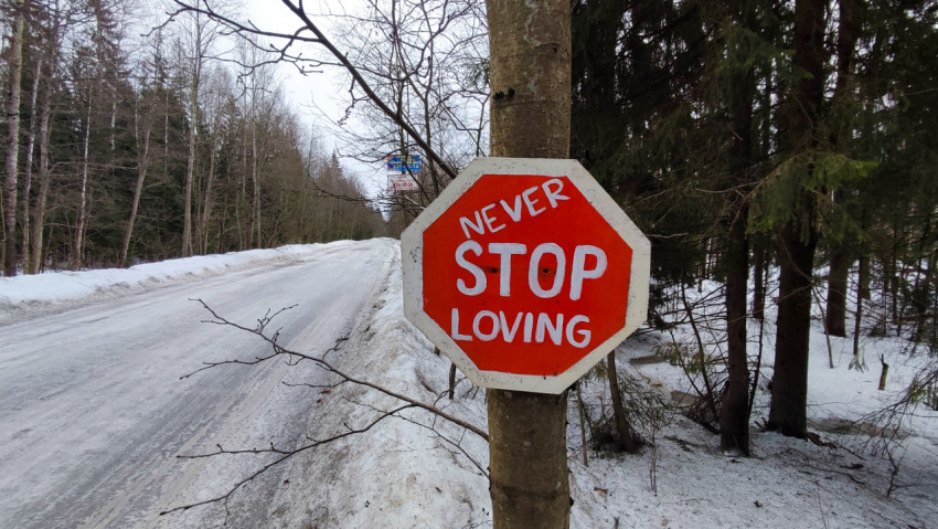 Надпись «Never Stop Loving» на дереве у лесной дороги