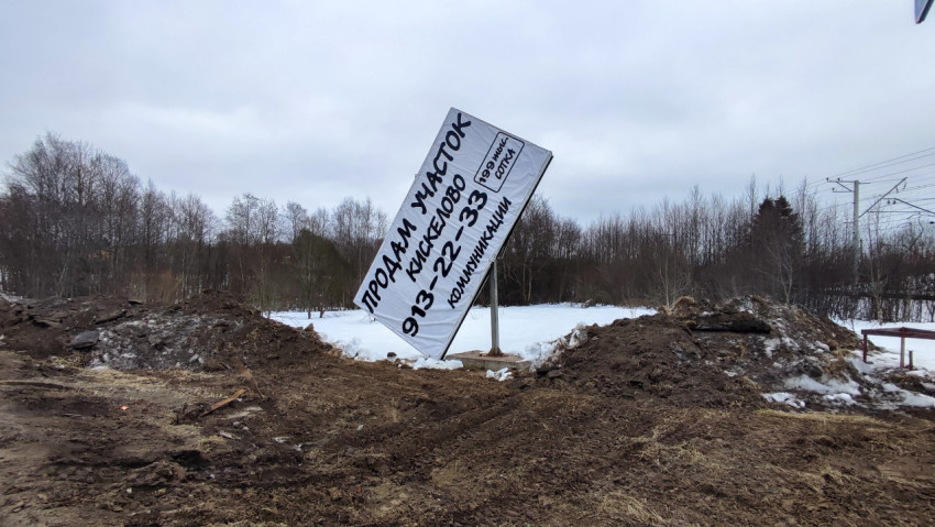 Повреждённый рекламный щит на фоне зимнего леса